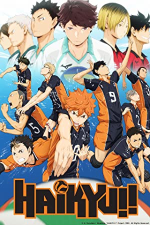 Watch Full TV Series :Haikyuu!! (2014 )