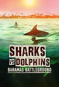 Watch Full Movie :Sharks vs Dolphins Bahamas Battleground (2023)