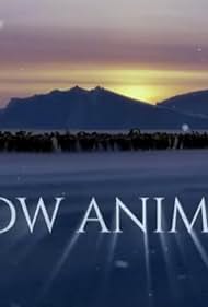 Watch Full Movie :Snow Animals (2019)