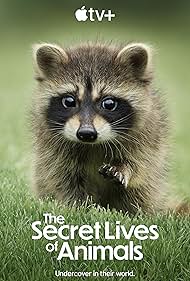 Watch Full TV Series :The Secret Lives of Animals (2024-)