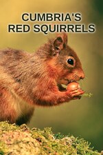 Watch Full Movie :Cumbrias Red Squirrels (2024)