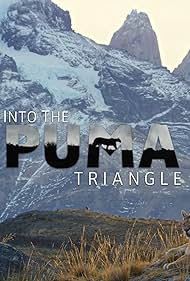 Watch Full Movie :Into the Puma Triangle (2020)