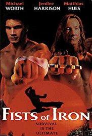 Watch Full Movie :Fists of Iron (1995)